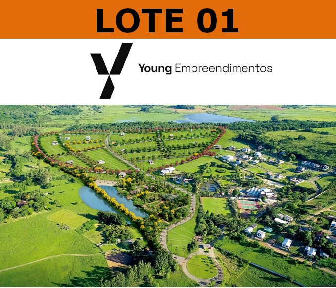 0767/2025